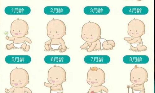 3个月婴儿游泳视频教程-宝宝三个月游泳视频网 - 宝宝三个月游泳视频大全,3个月婴儿游泳标准